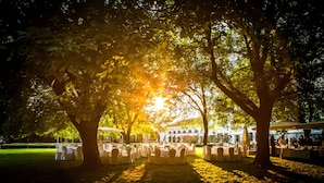 Un événement en plein air, avec des tables et des chaises disposées sous les arbres, la lumière du soleil filtrant à travers le feuillage.