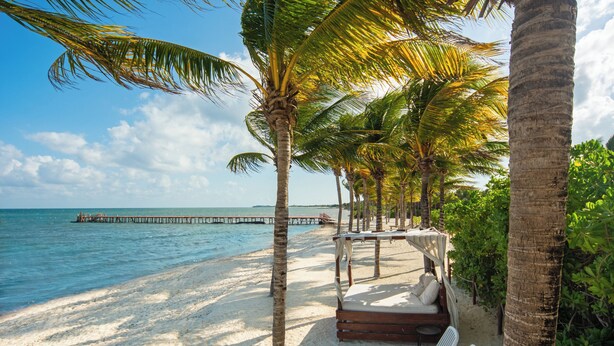 A beach with palm trees, a wooden pier, and a lounge area with chairs and a table. - Hacienda Tres Rios Resort, Spa & Nature Park-All Inclusive (Playa del Carmen)