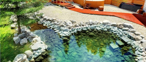 Sauna, bañera de hidromasaje, tratamientos corporales, aromaterapia