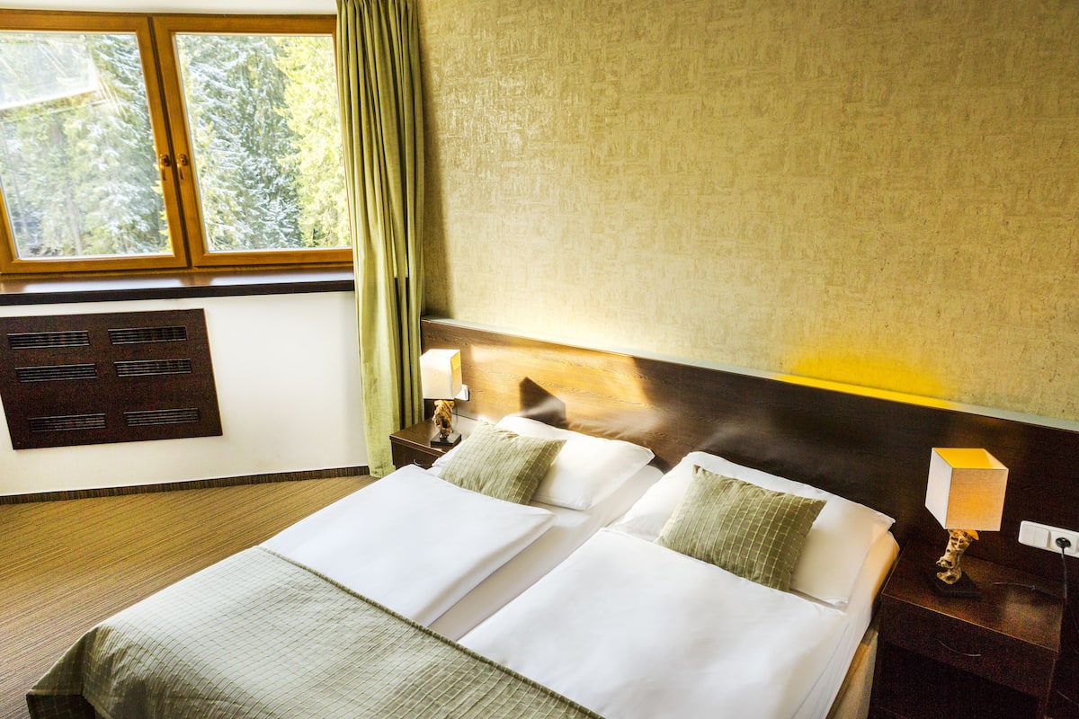 Minibar, coffres-forts dans les chambres, bureau, Wi-Fi gratuit