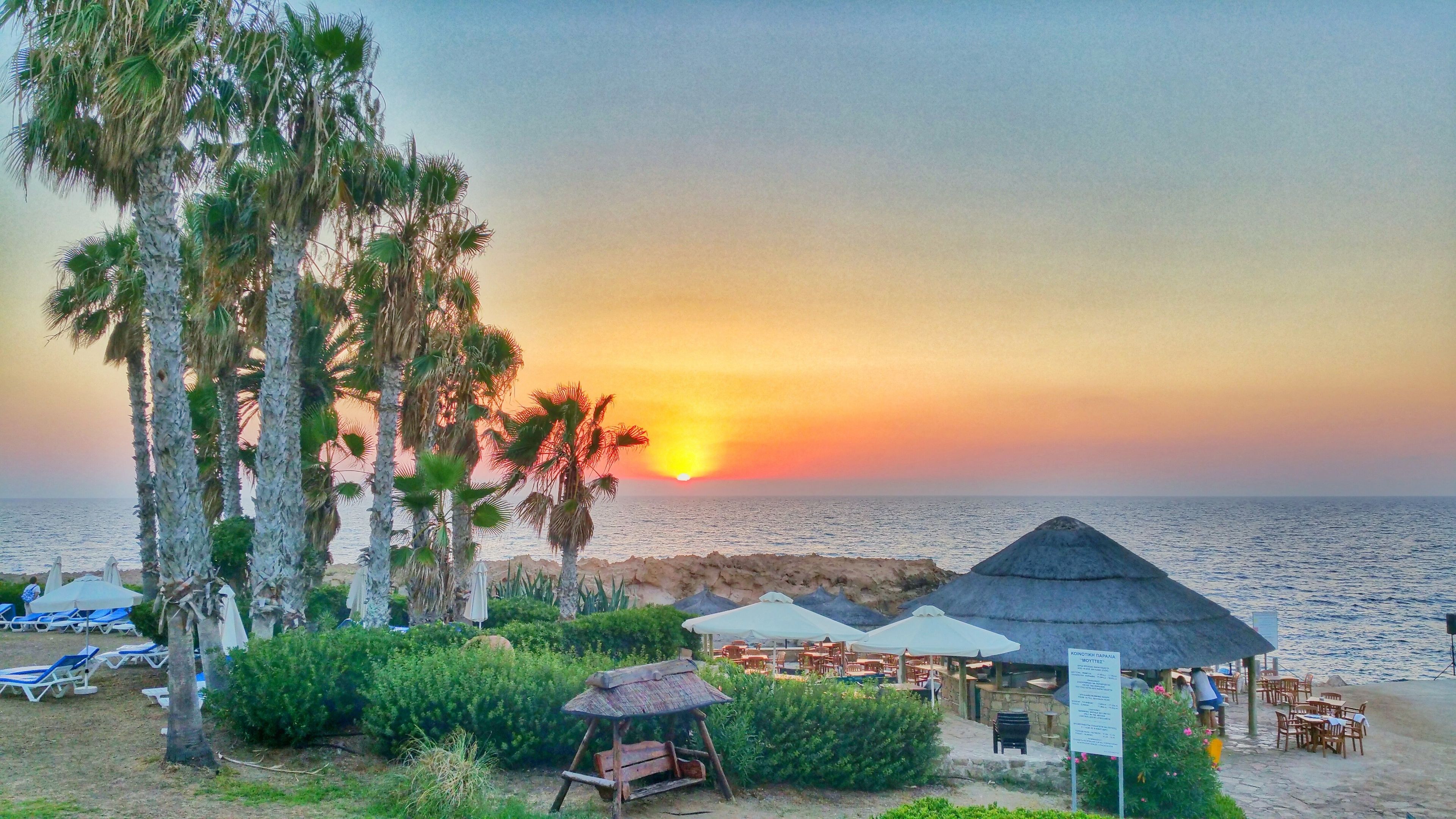 A beachside restaurant with outdoor seating, palm trees, and a view of the sunset over the sea.