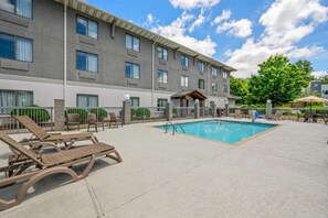 Outdoor pool, sun loungers