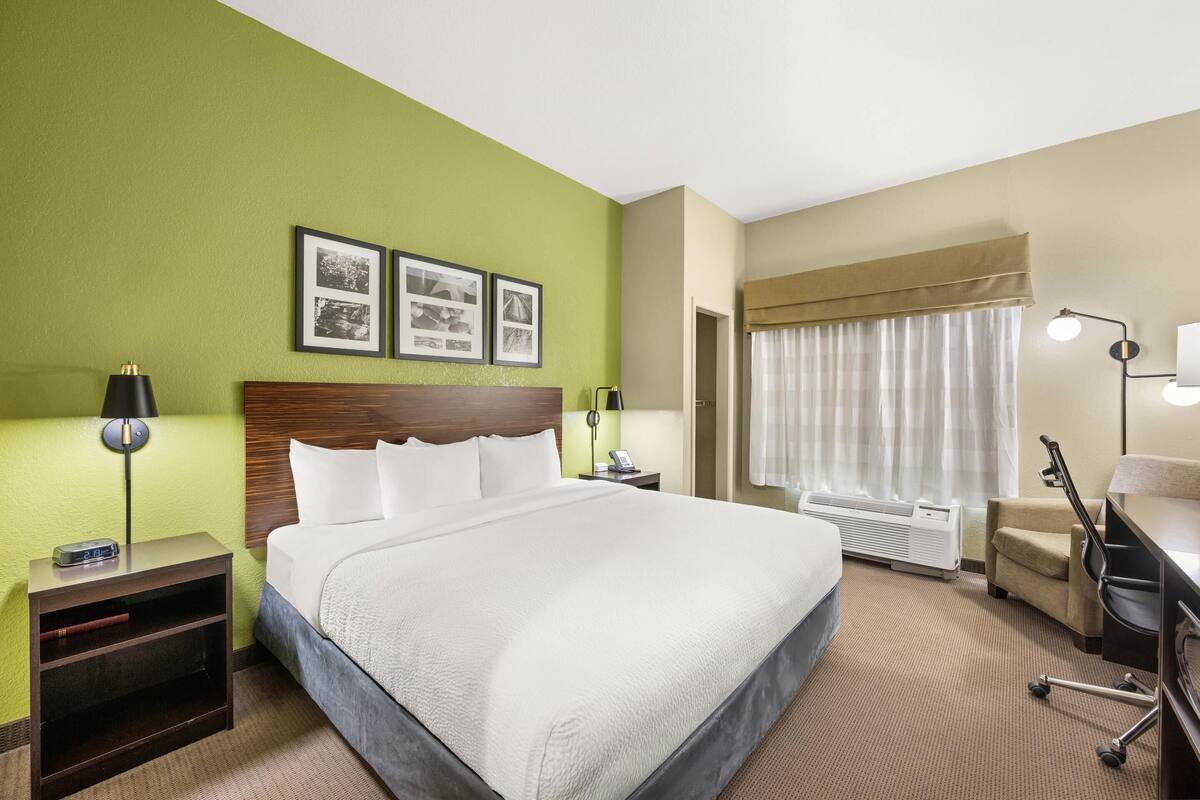 A hotel room with a large bed, a desk, a chair, a nightstand with a lamp, and a wall-mounted telephone.