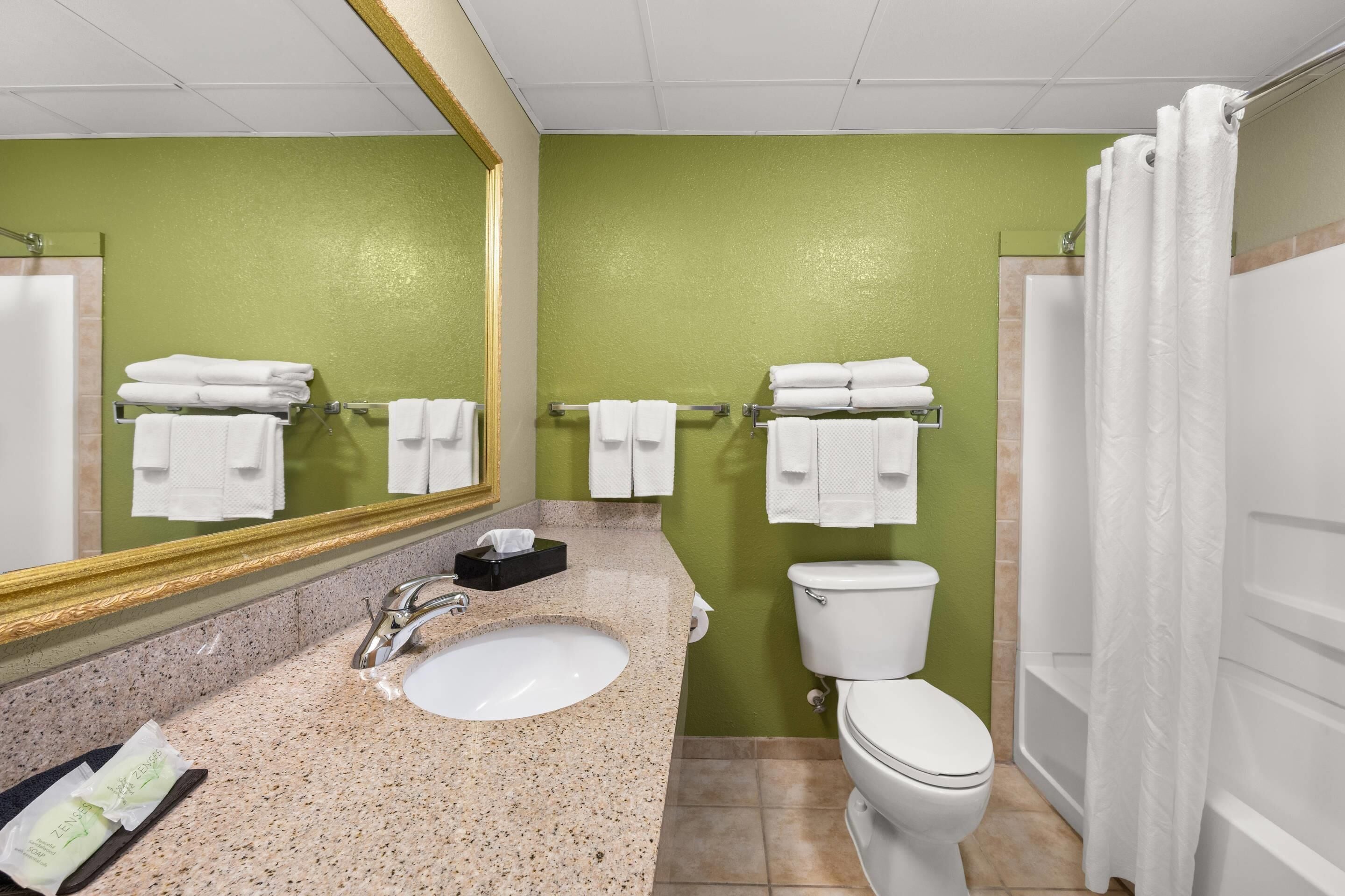 Une salle de bain avec un lavabo à vasque en granit, des toilettes blanches et un rideau de douche.