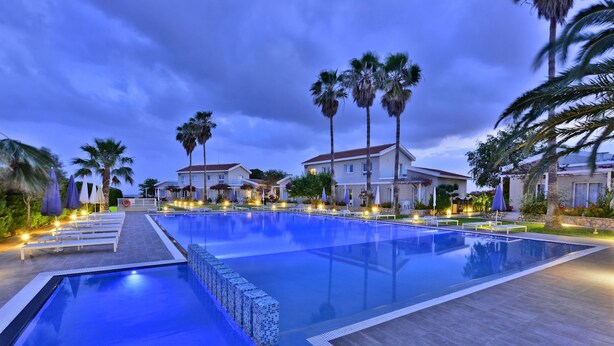 A swimming pool with lounge chairs and umbrellas, surrounded by palm trees and houses.