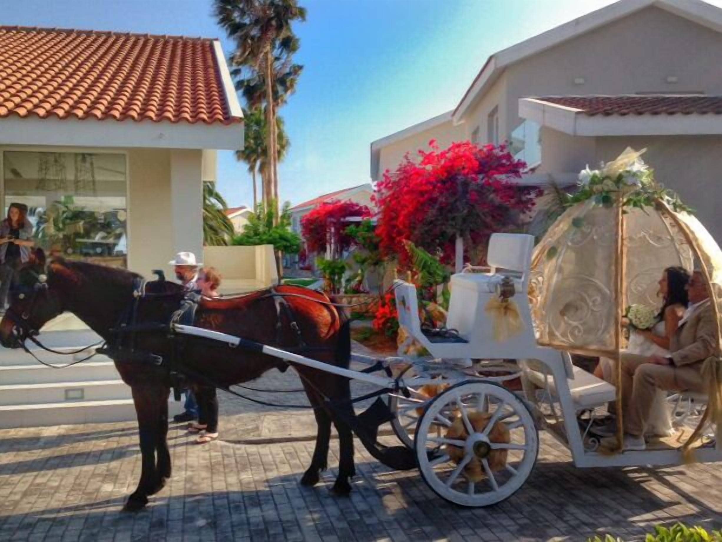 A horse-drawn carriage with a covered seat, parked in front of a building with a tiled roof and a large red flower bush.