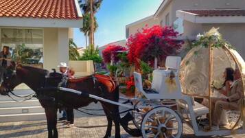 A horse-drawn carriage with a covered seat, parked in front of a building with a tiled roof and a large red flower bush.