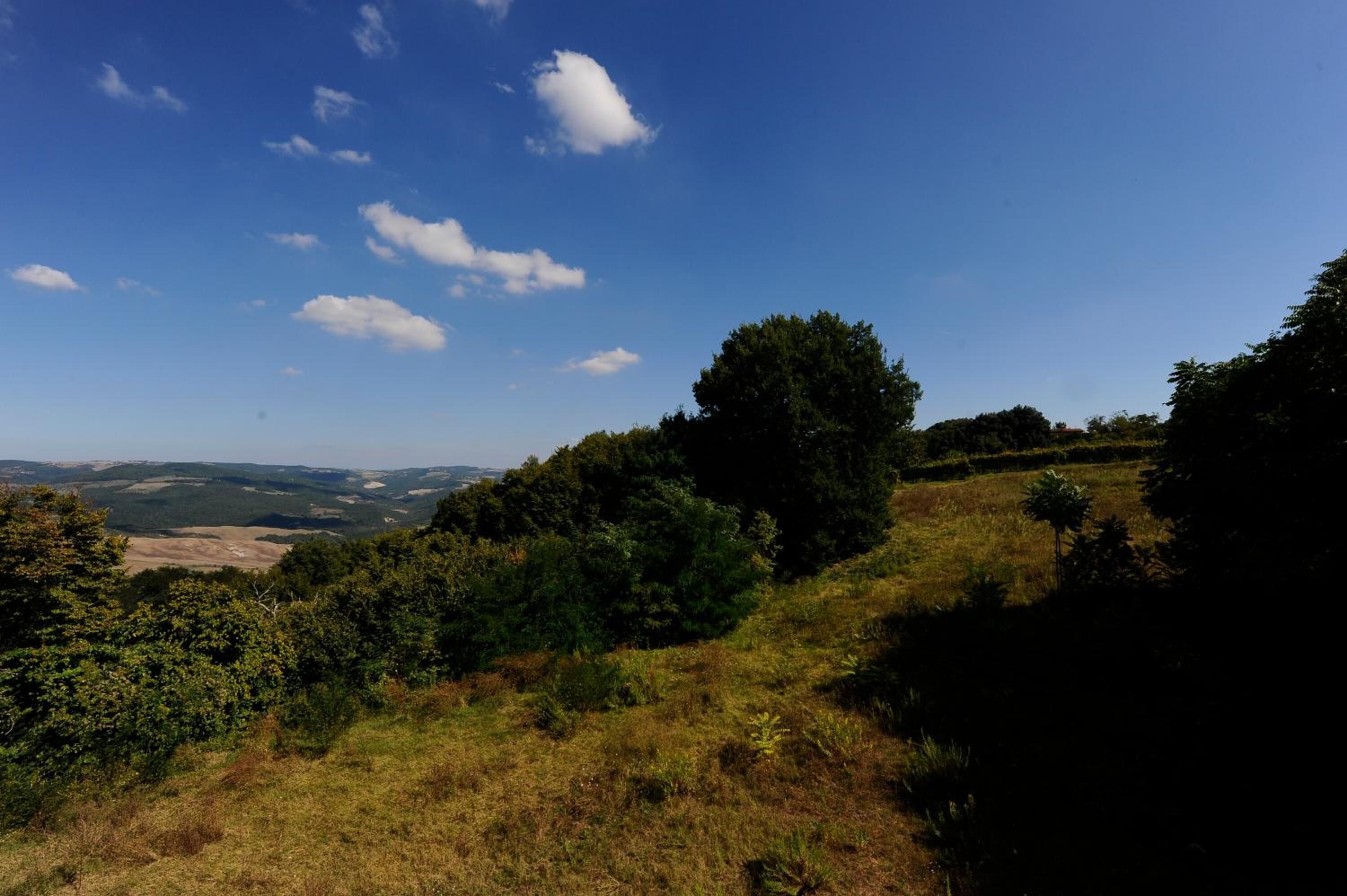 Paesaggio collinare con vegetazione fitta e cielo azzurro intenso.