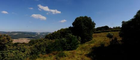 Paesaggio collinare con vegetazione fitta e cielo azzurro intenso.