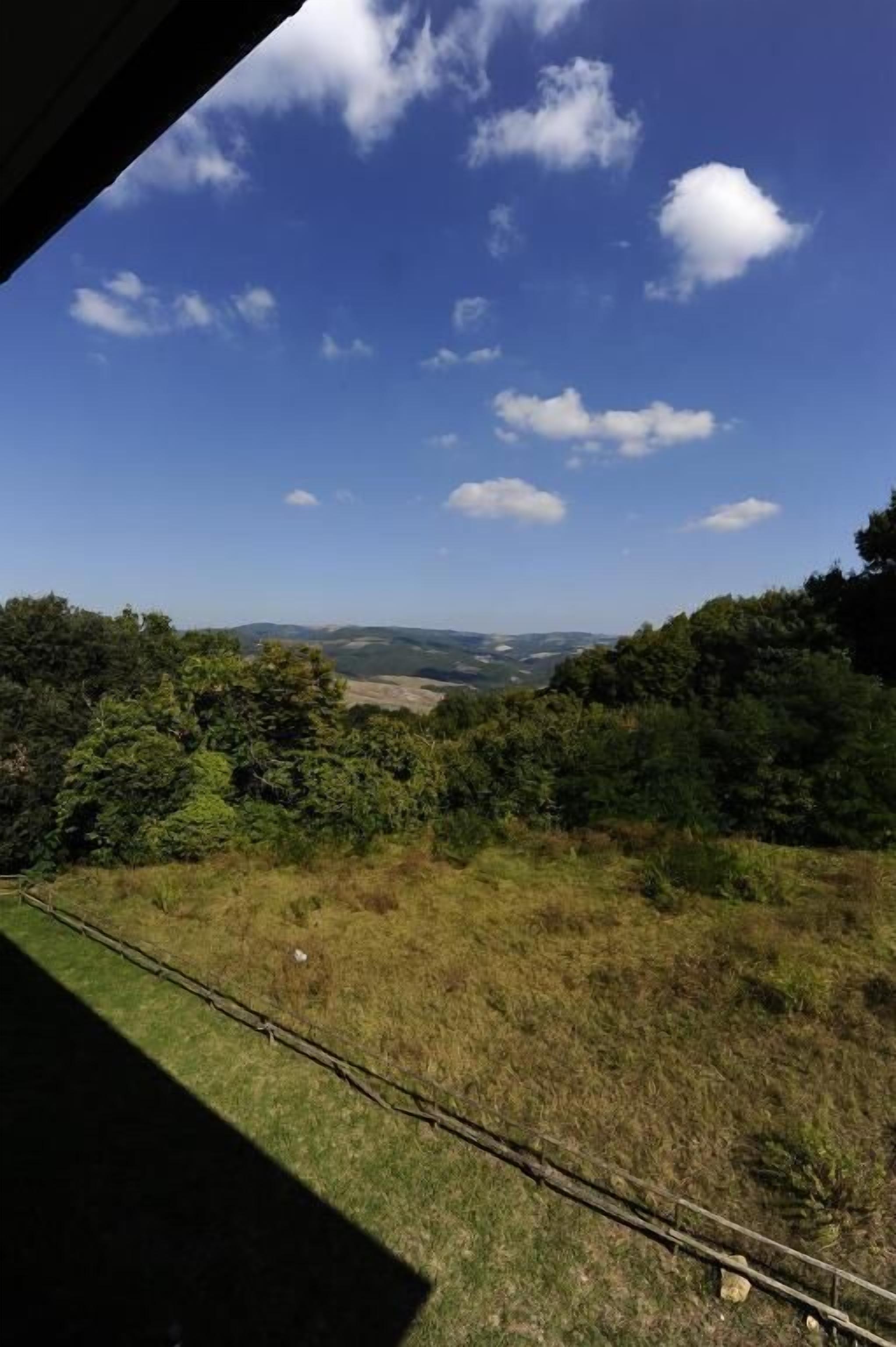 Vista desde una ventana a un campo cubierto de césped, con árboles y un cielo azul despejado.