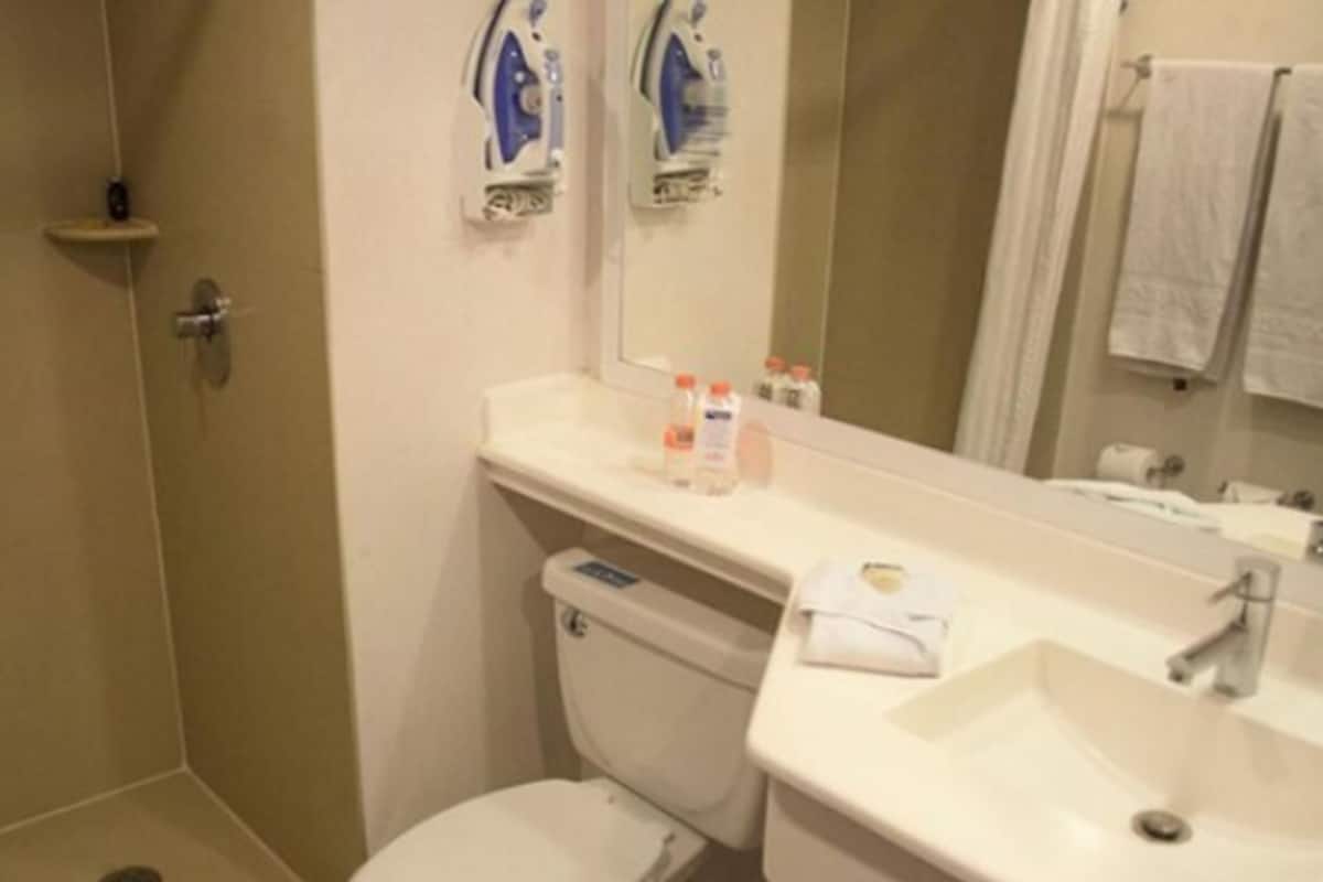 Shower, free toiletries, hair dryer, towels