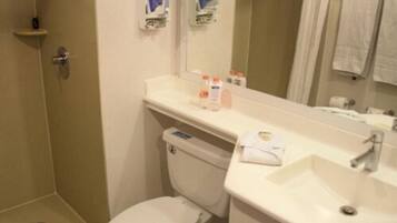 Un baño con inodoro, lavamanos y una plancha.