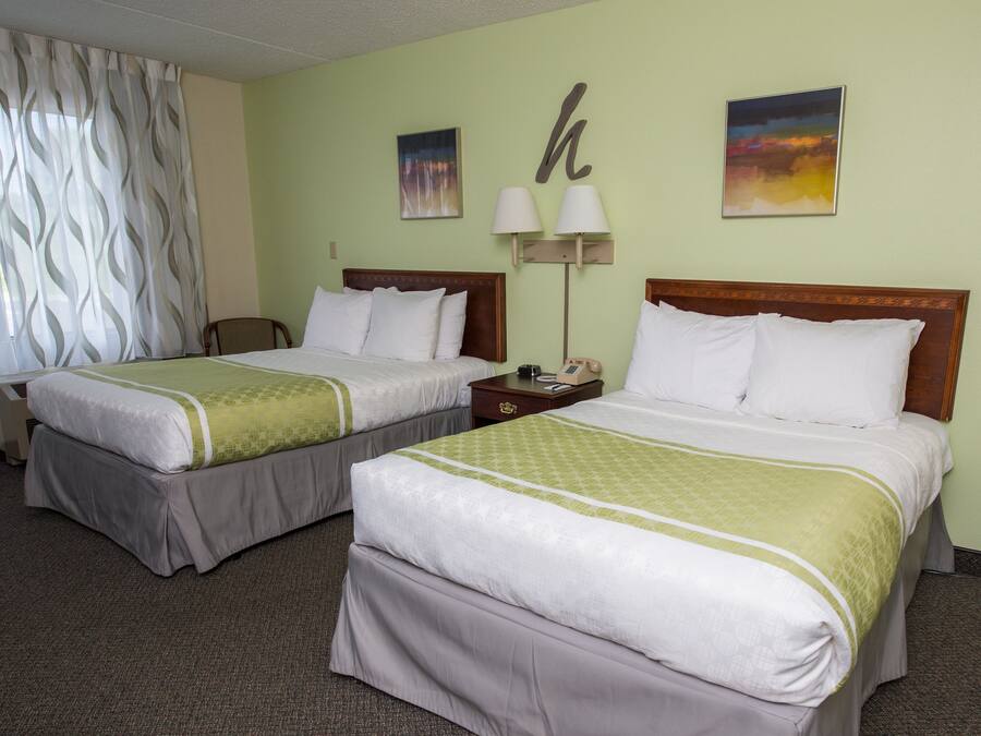 Une chambre d’hôtel avec deux lits, chacun recouvert d’une couvre-lit verte et blanche, une table de chevet avec une lampe et une grande fenêtre avec des rideaux.