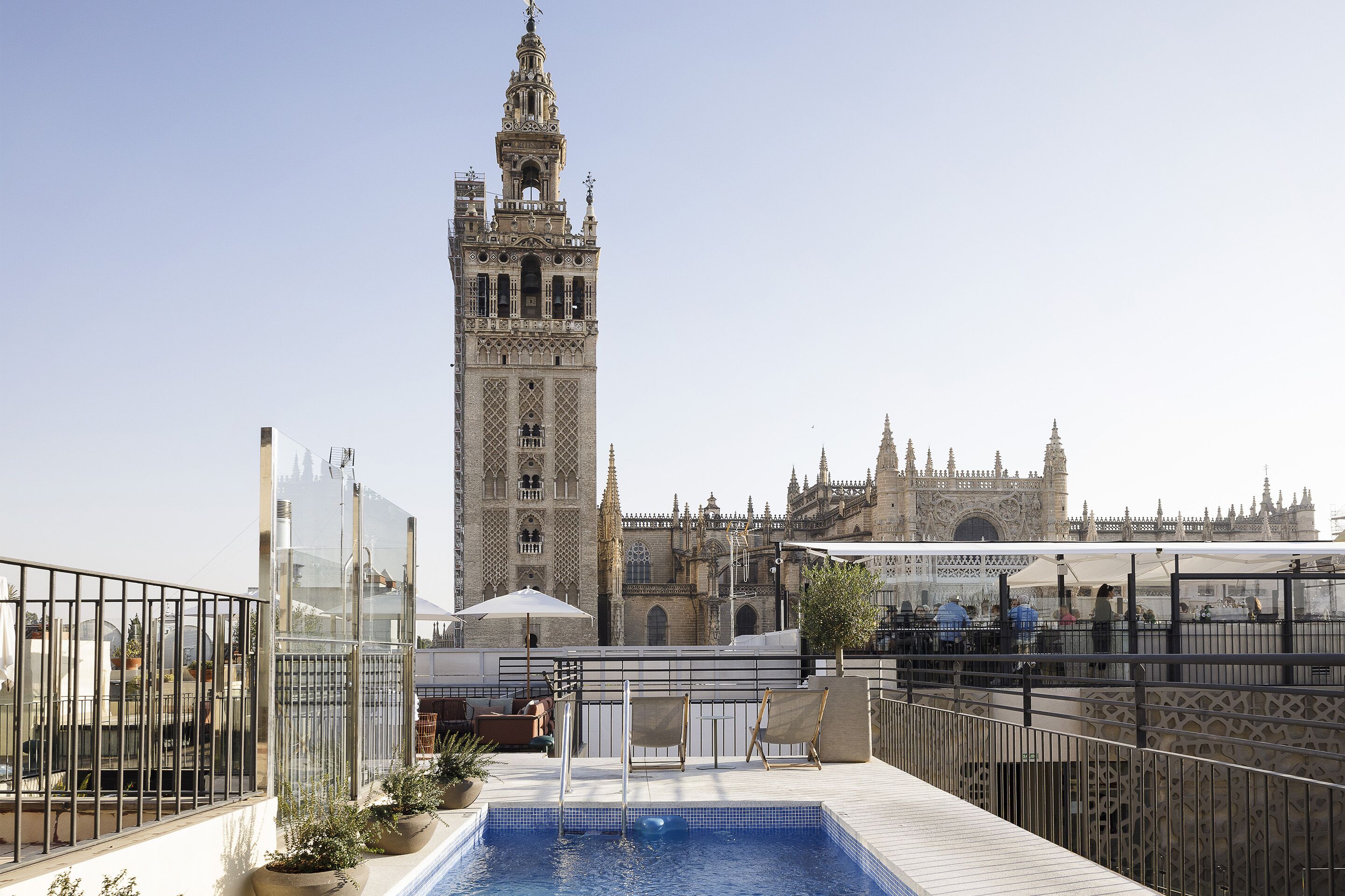 Outdoor pool, sun loungers