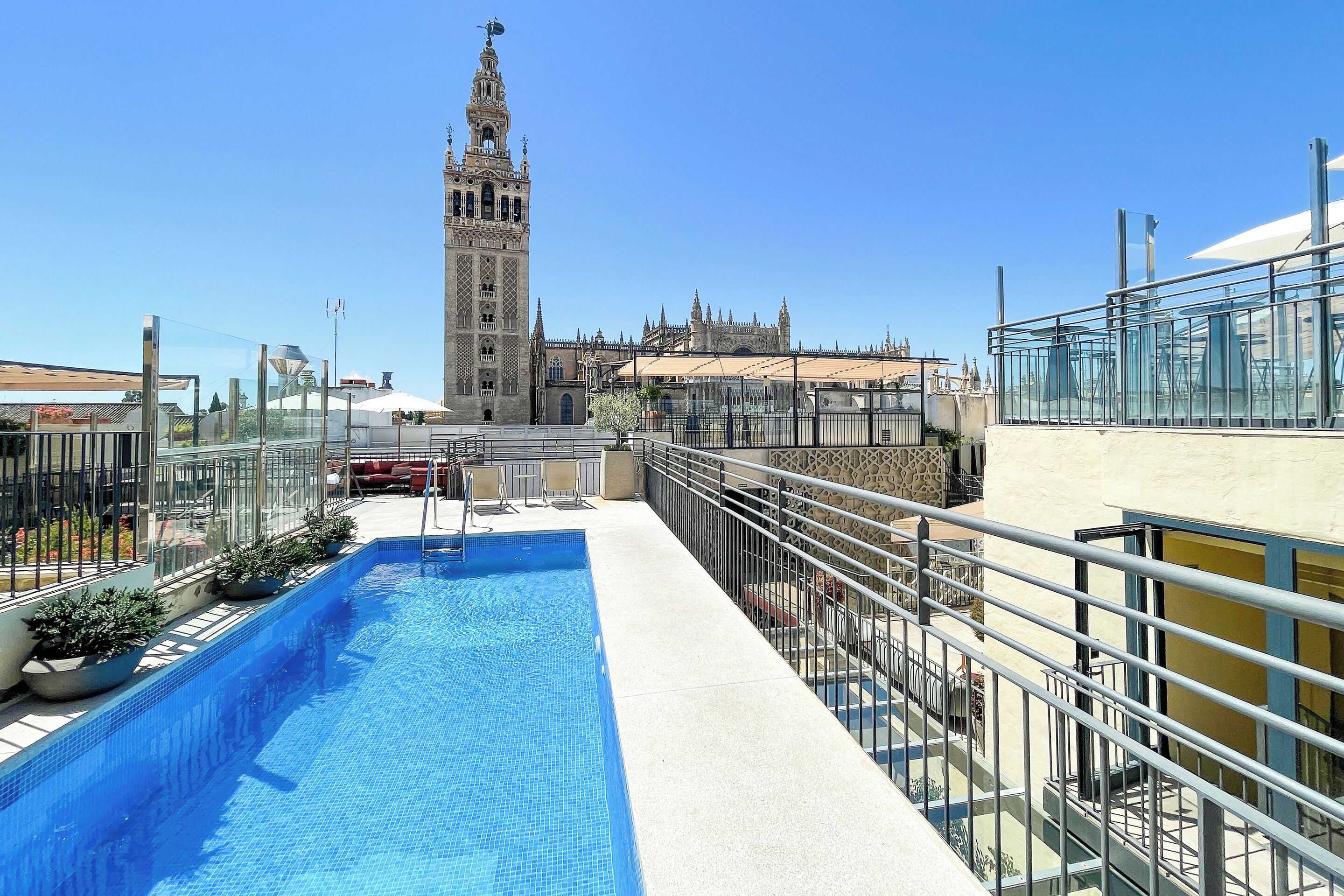 outdoor pool, pool loungers