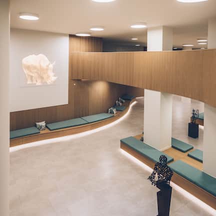 A modern lobby with a curved reception desk, seating areas, and a large wall-mounted sculpture of a rhinoceros.