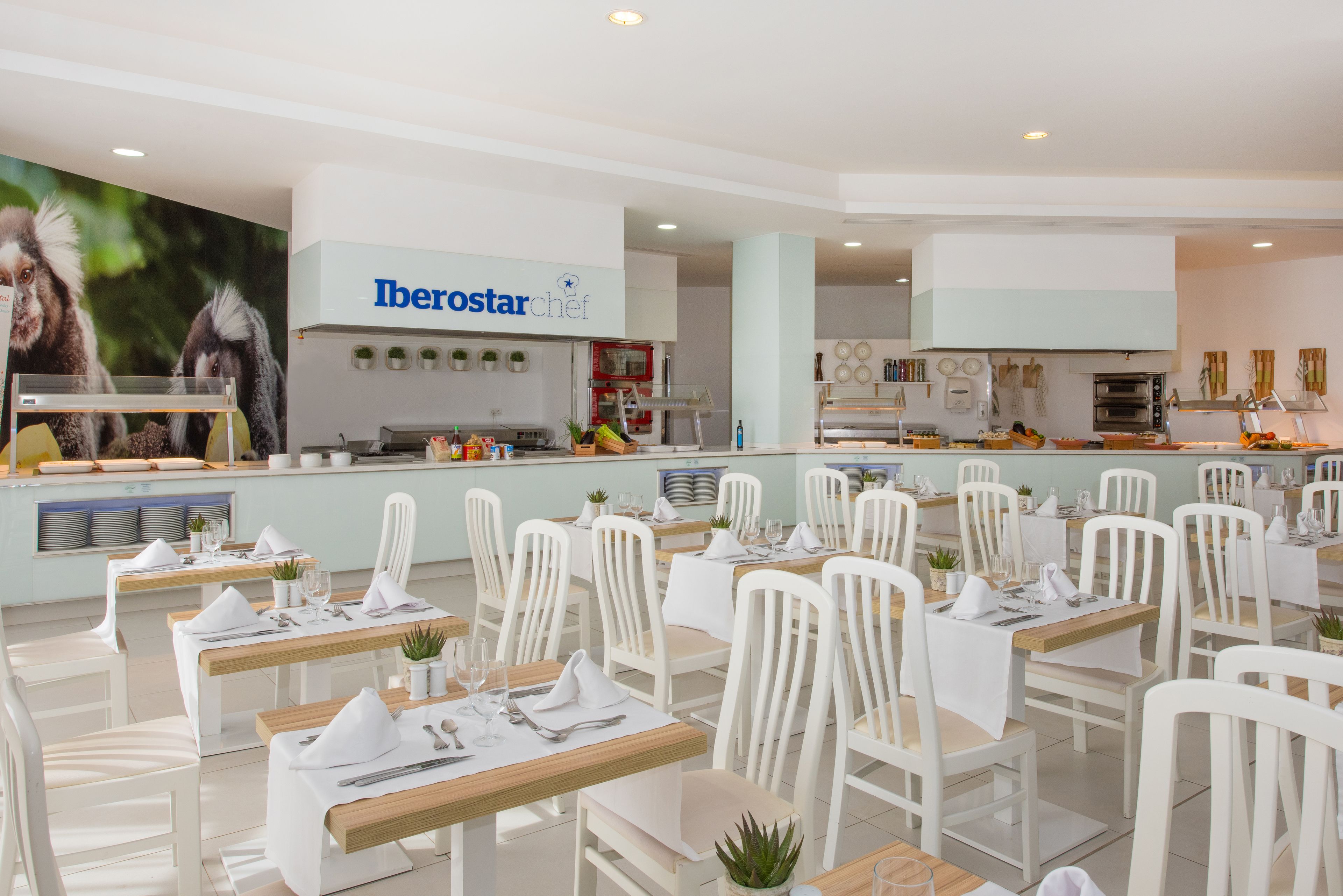 Un comedor moderno con sillas y mesas blancas, una zona de cocina con un cartel que dice "Iberostar chef", y un gran mural de monos en la pared.