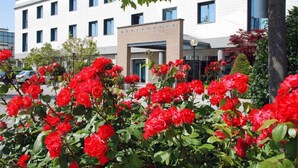Exterior - Point Hotel Conselve (Conselve)