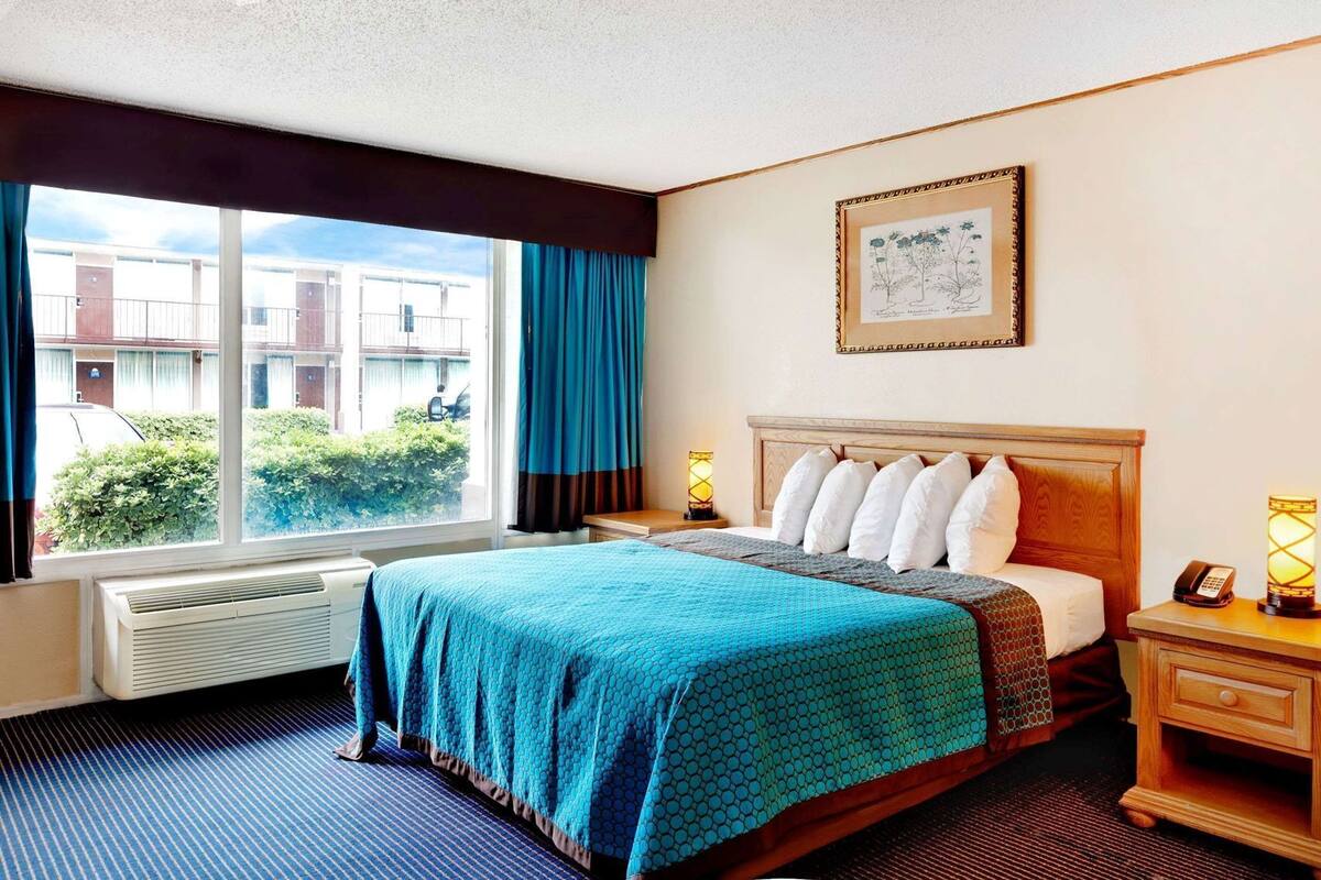 1 bedroom, desk, iron/ironing board, free WiFi