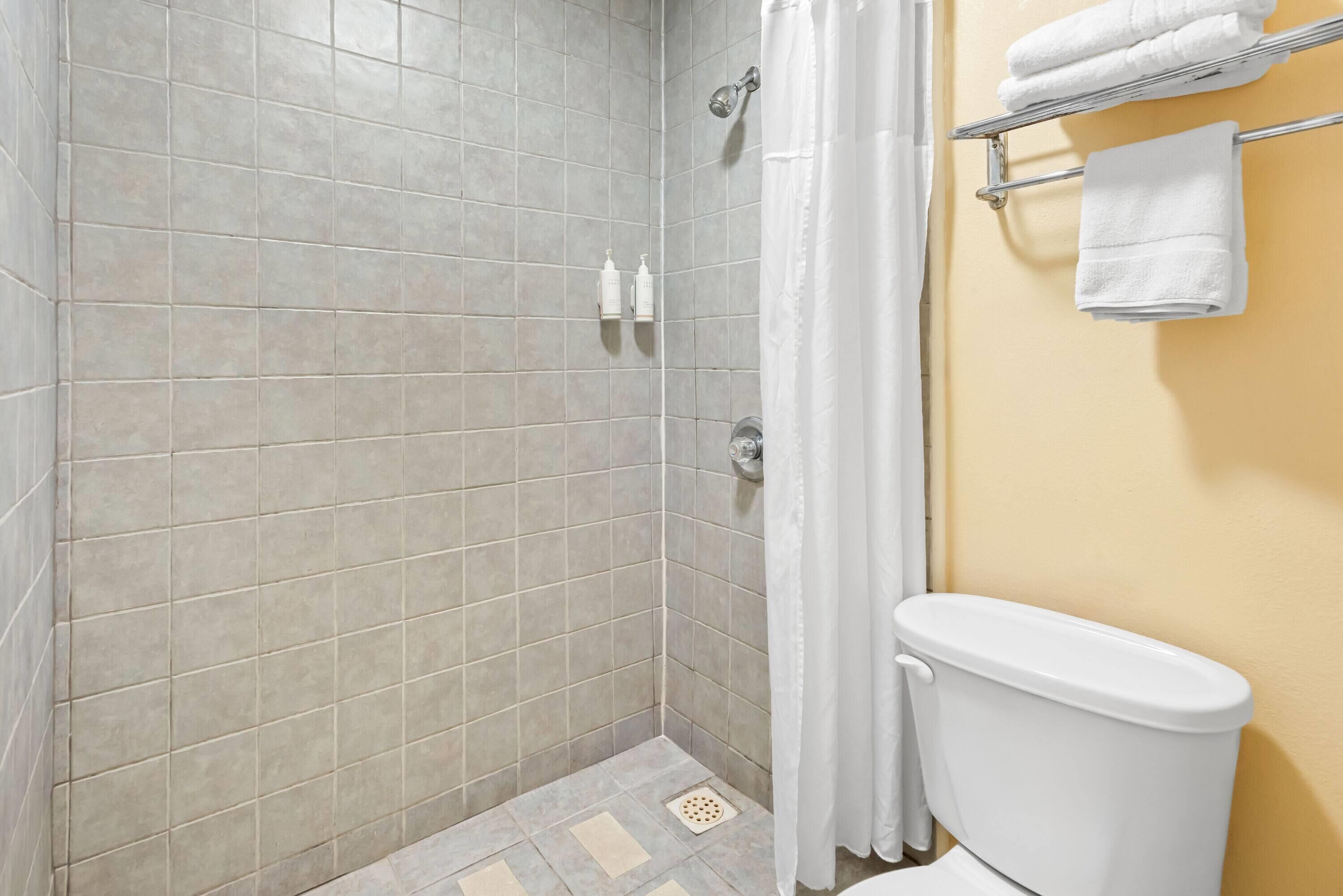 Un bagno con doccia, water e portasciugamani.