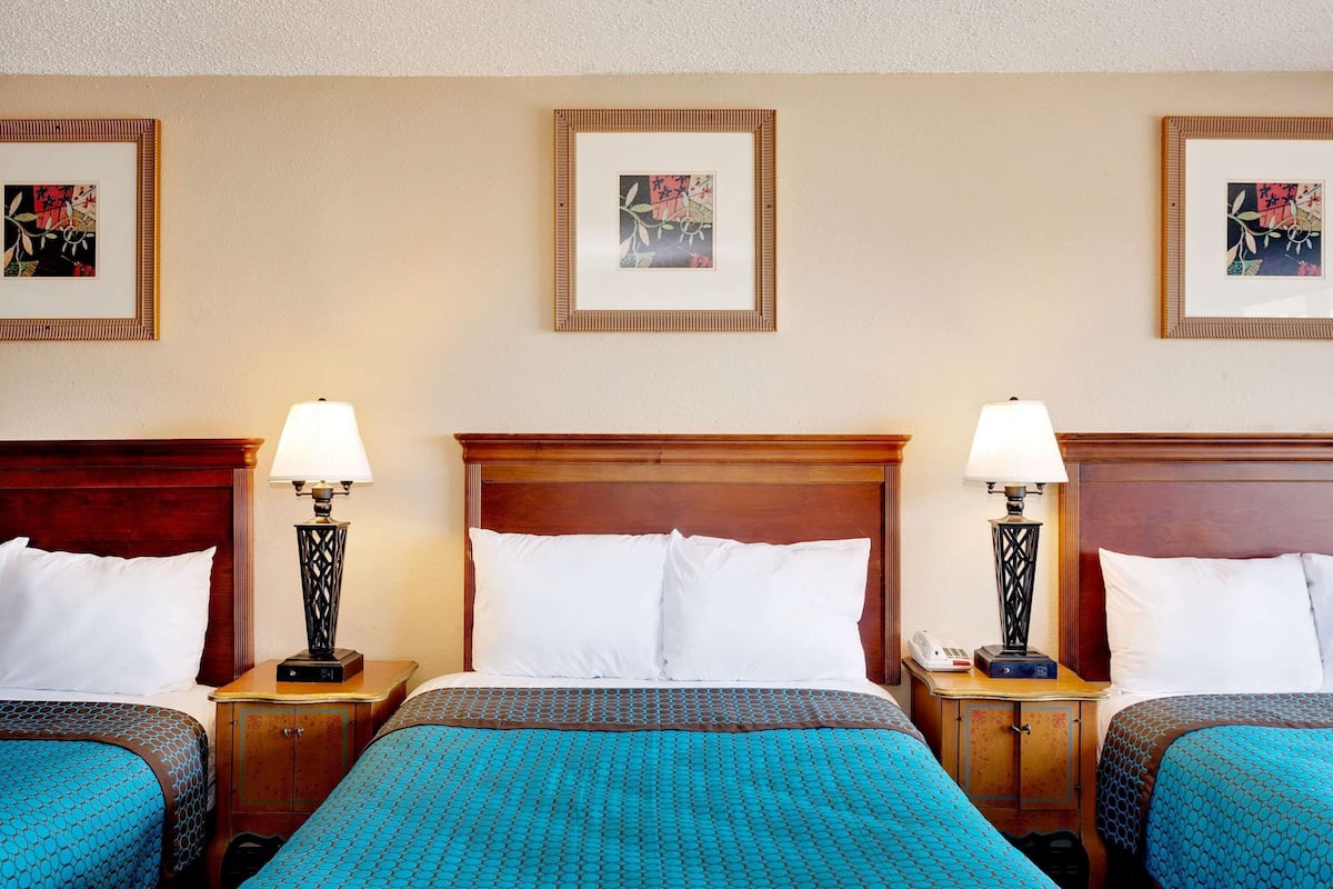 1 bedroom, desk, iron/ironing board, rollaway beds