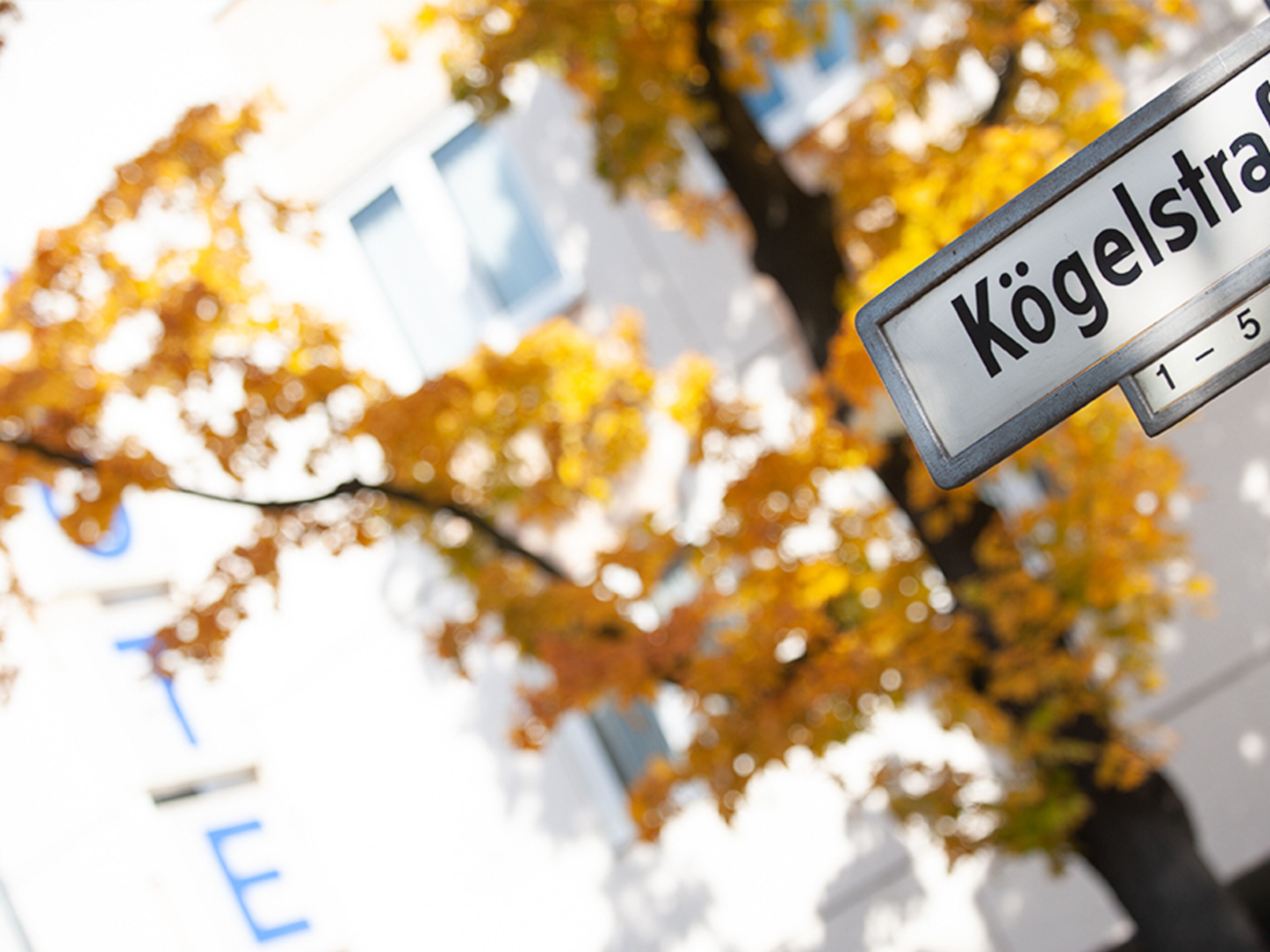 Foto - Good Morning Berlin City West