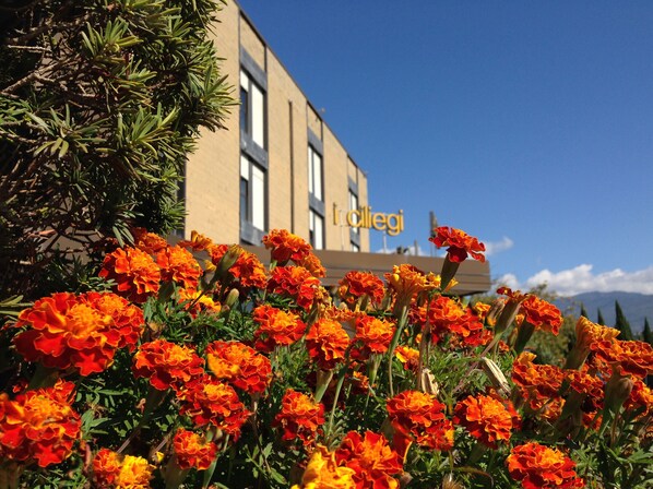 A building with a sign reading "Ialigi" and a garden with vibrant orange flowers in front. - I ciliegi (Reggello)