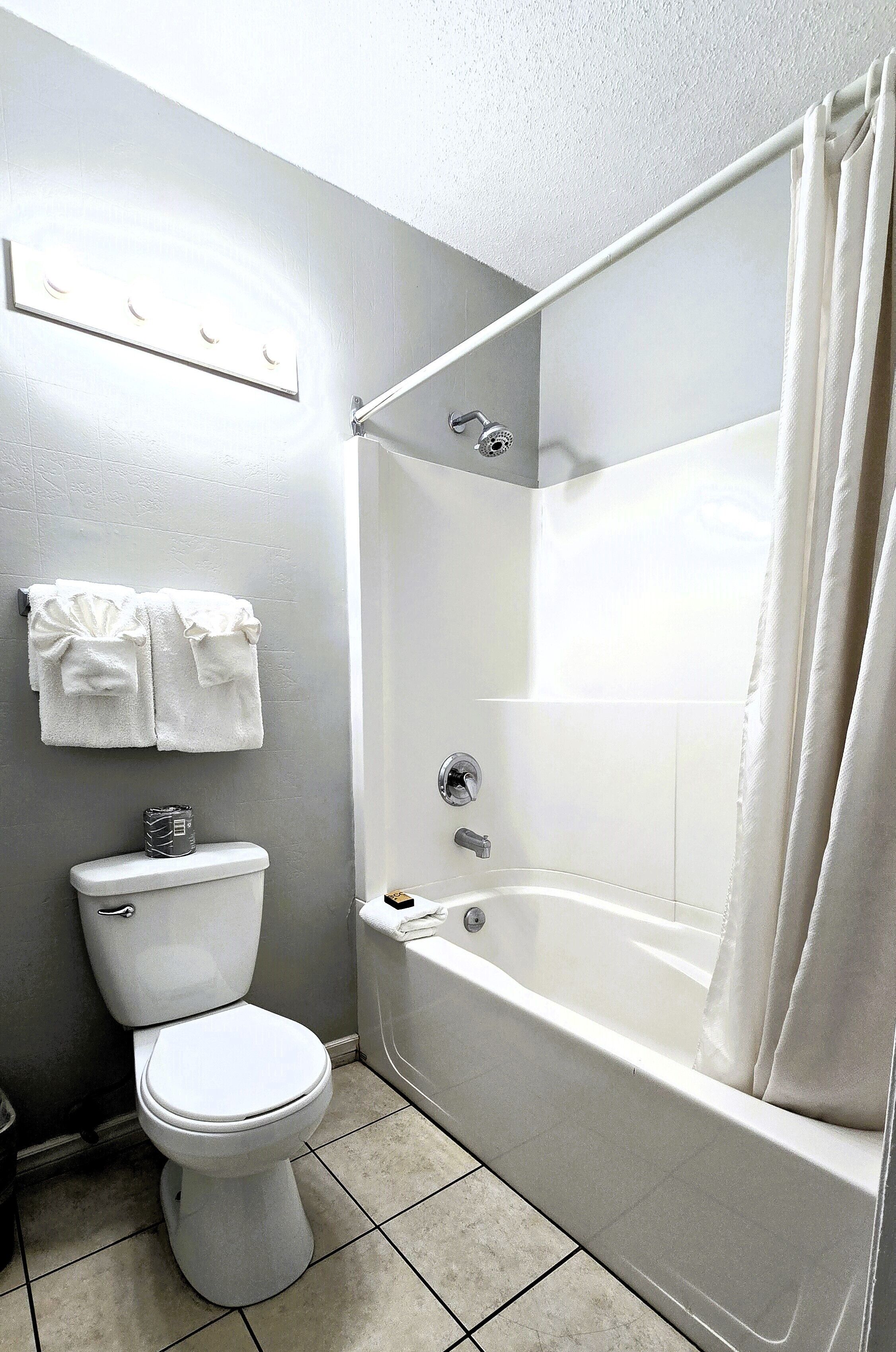 A bathroom with a toilet, a bathtub, and a shower curtain.