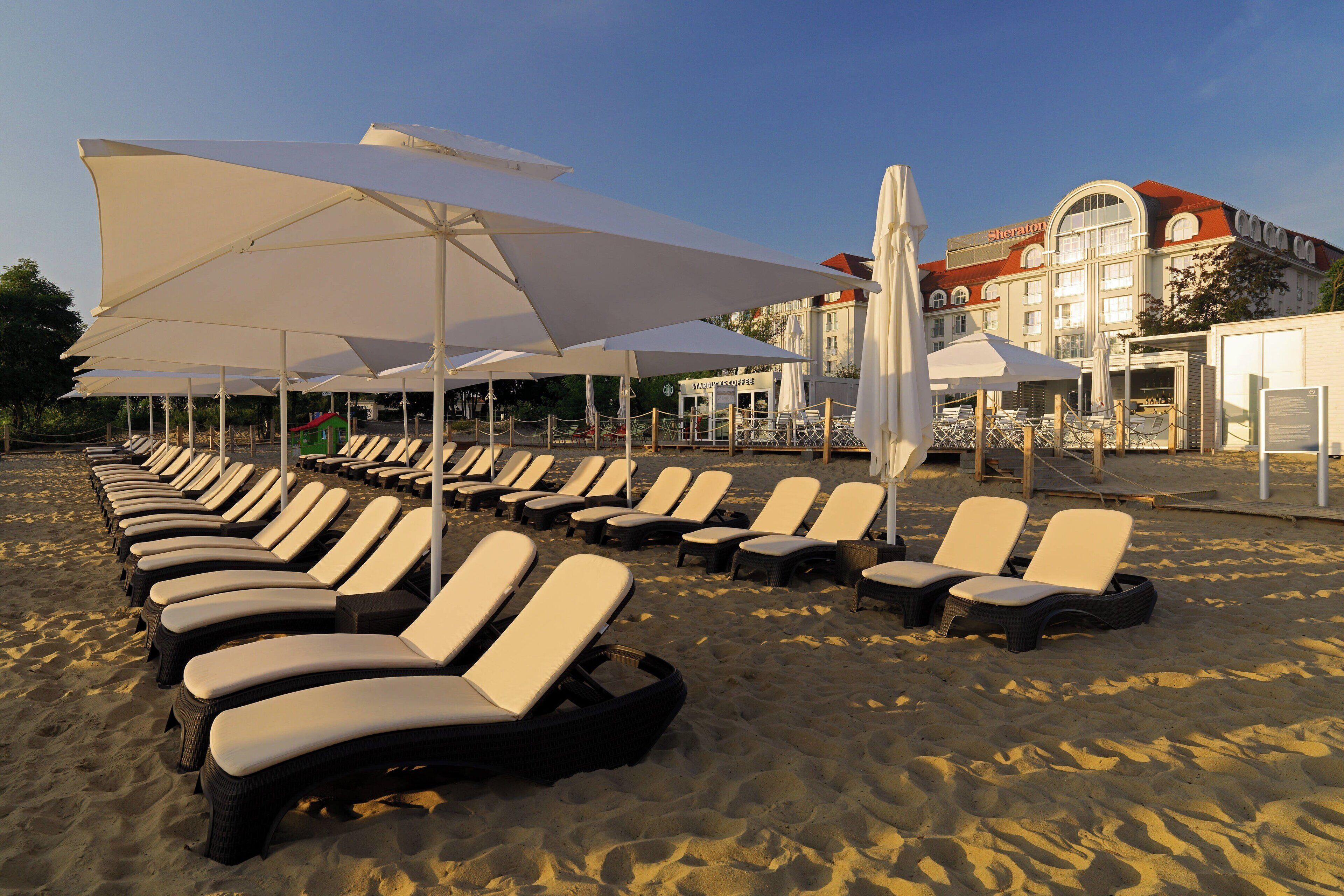 A beach with rows of sun loungers and umbrellas, a hotel building in the background, and a clear sky.