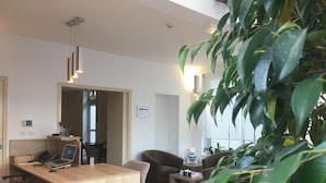 Un salon moderne avec un bureau en bois, un canapé confortable et une grande plante verte.