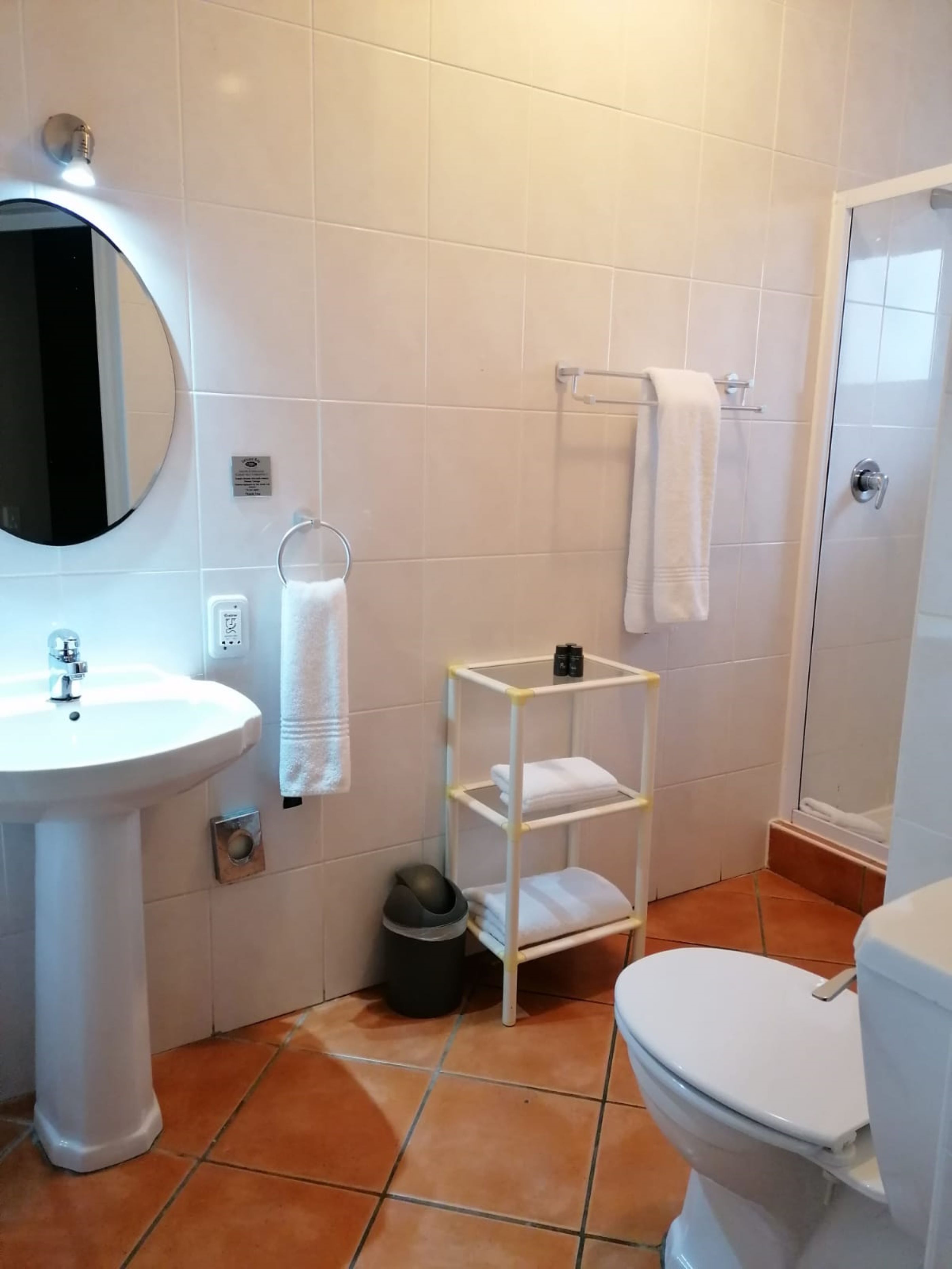 A bathroom with a white sink, a mirror, a towel rack, a shelf with toiletries, and a toilet.
