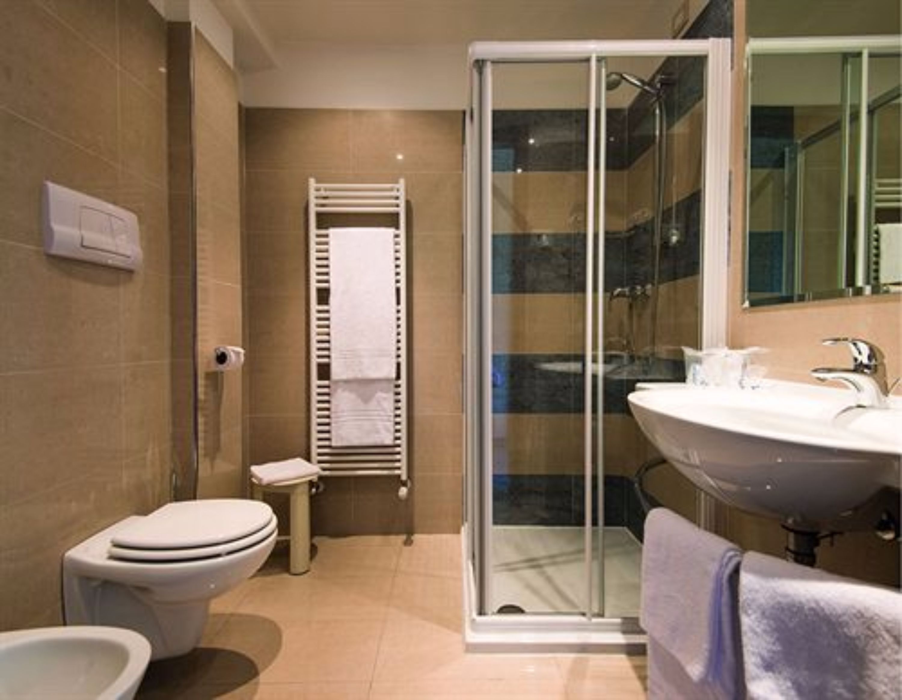 free toiletries, hair dryer, bidet, towels