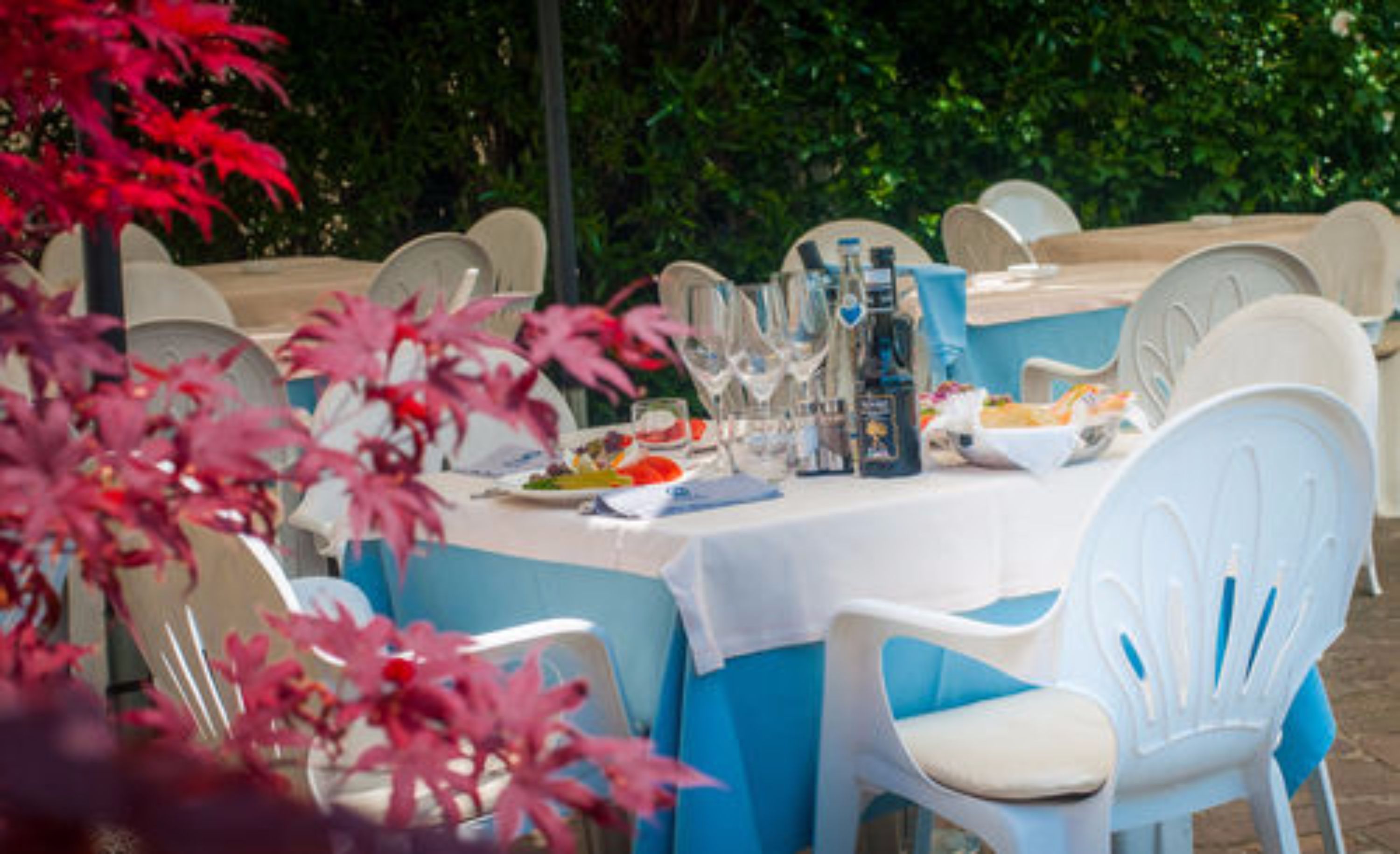 breakfast, lunch served; italian cuisine, al fresco dining