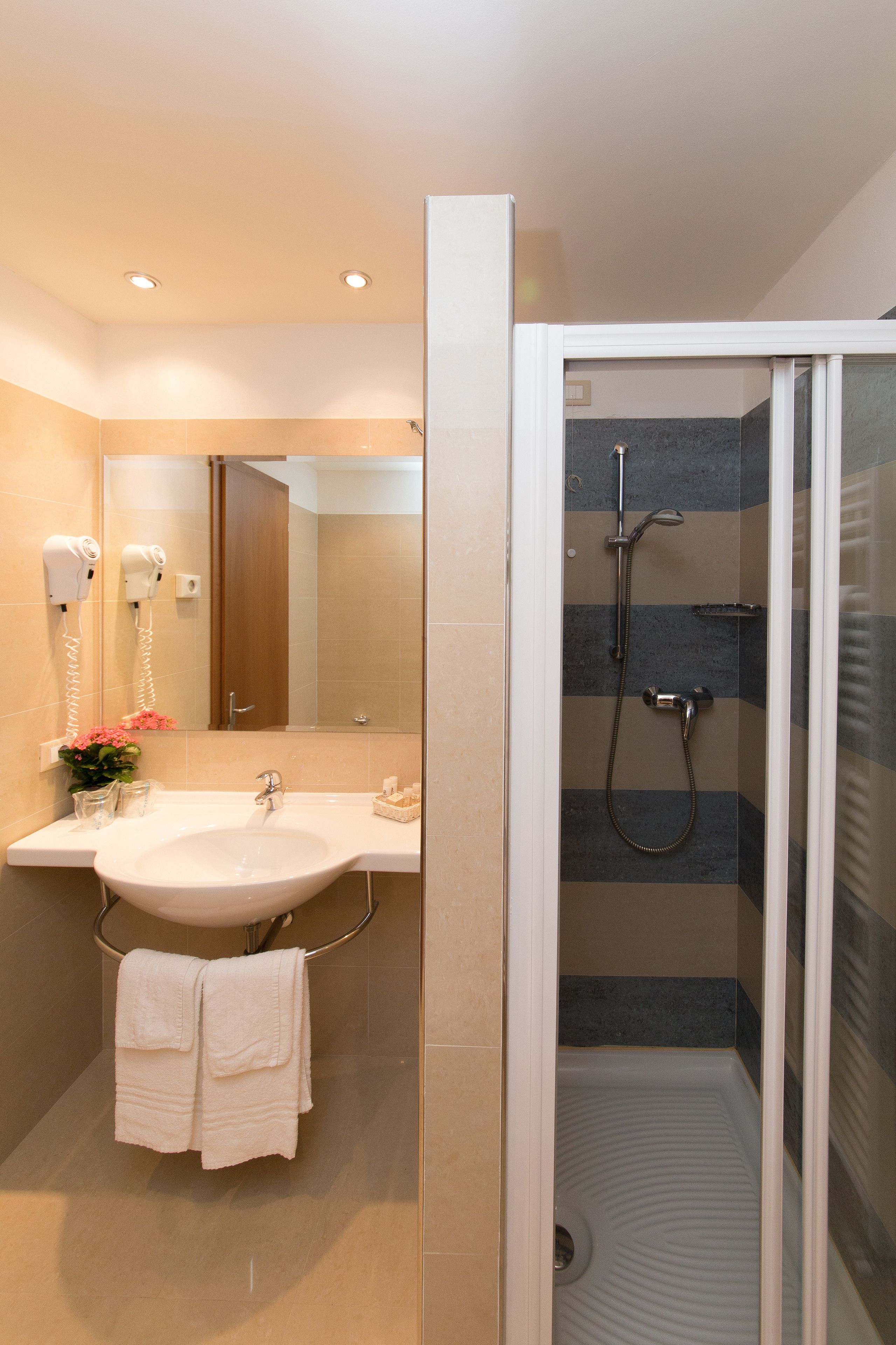 free toiletries, hair dryer, bidet, towels