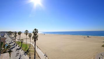 Suite, 1 Bedroom | View from property