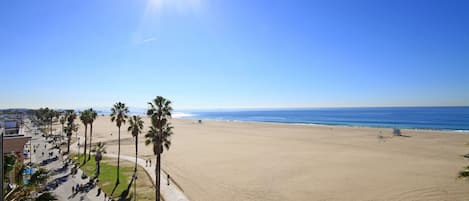 Suite, 1 Bedroom | View from property