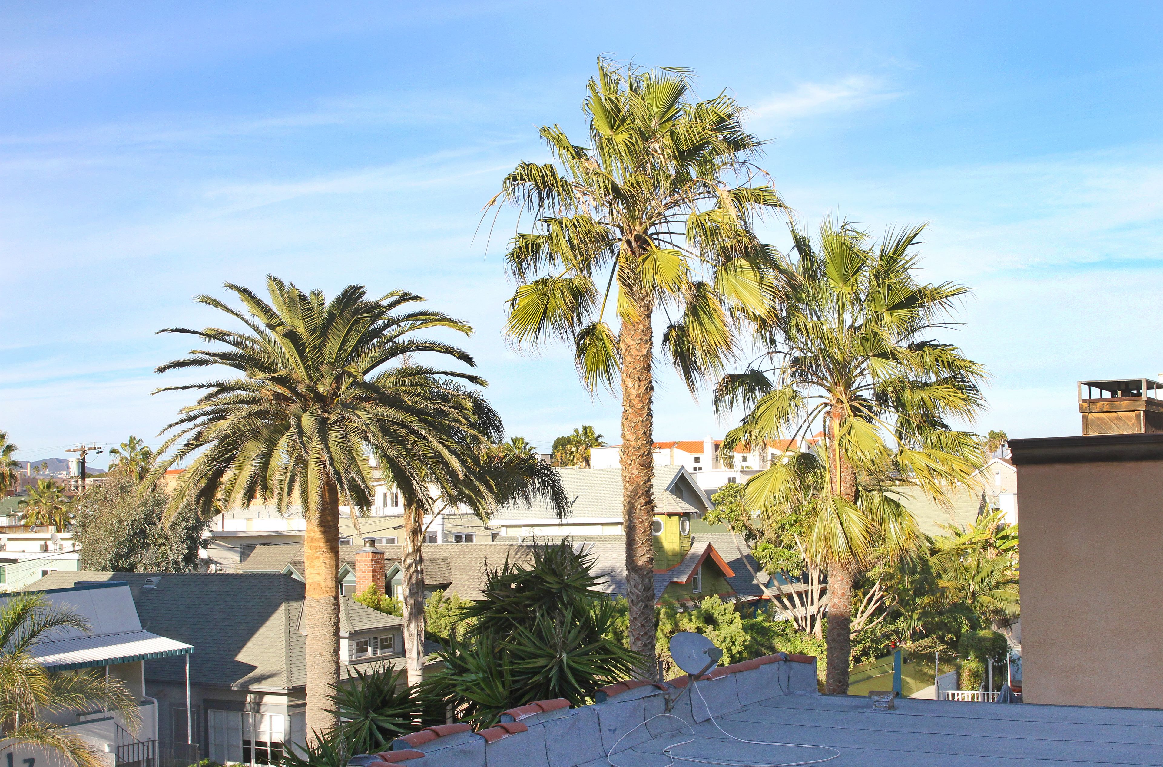 إطلالة الغرفة