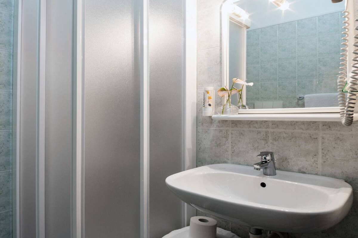 shower, free toiletries, hair dryer, bidet