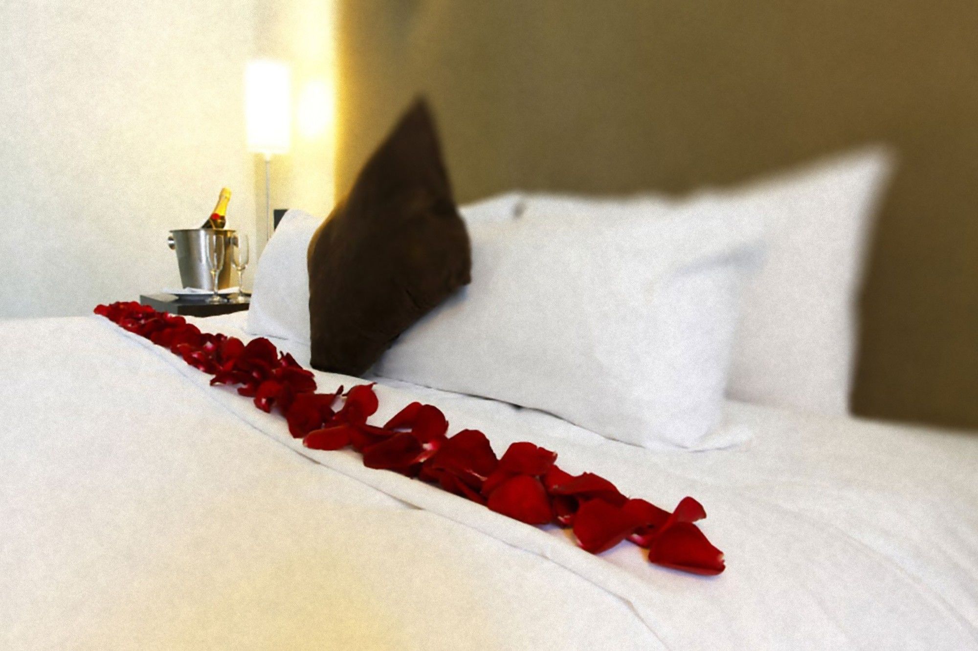 A bed with white linens and a trail of red rose petals leading to a bedside table with a bottle and glasses.