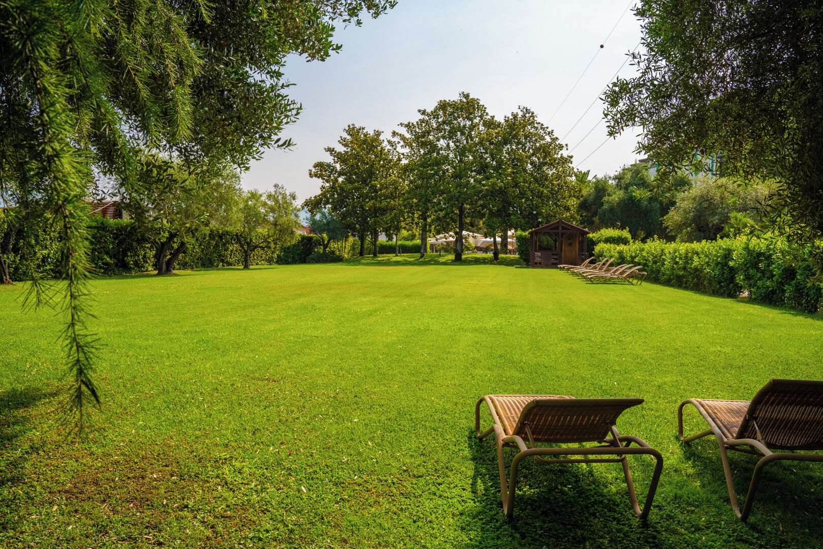 Giardino