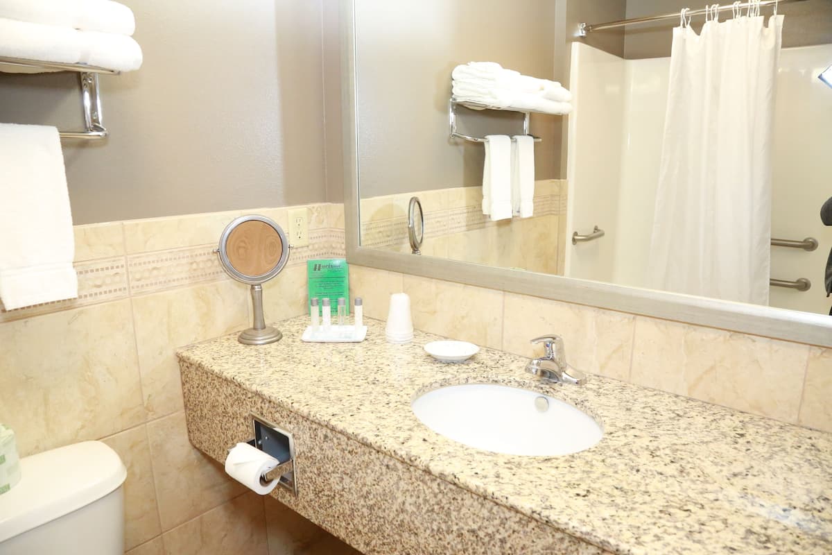 suite | 1 bedroom, desk, iron/ironing board, free cots/infant beds