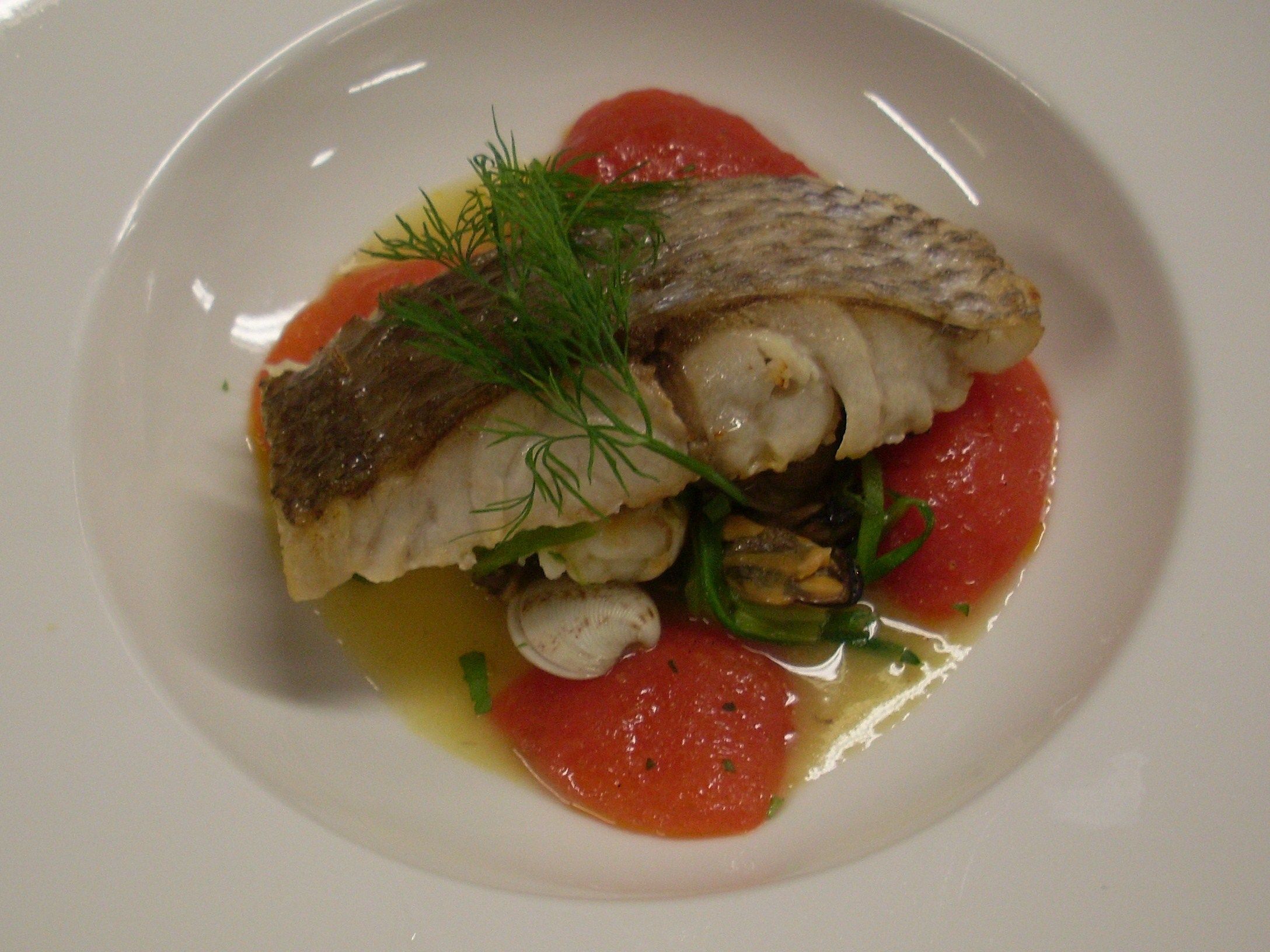 Um prato branco com um filé de peixe, tomates e ervas.