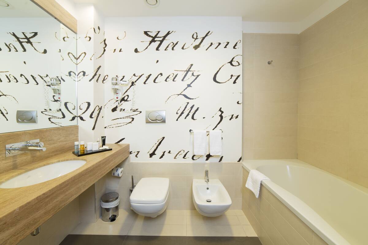 free toiletries, hair dryer, bidet, towels