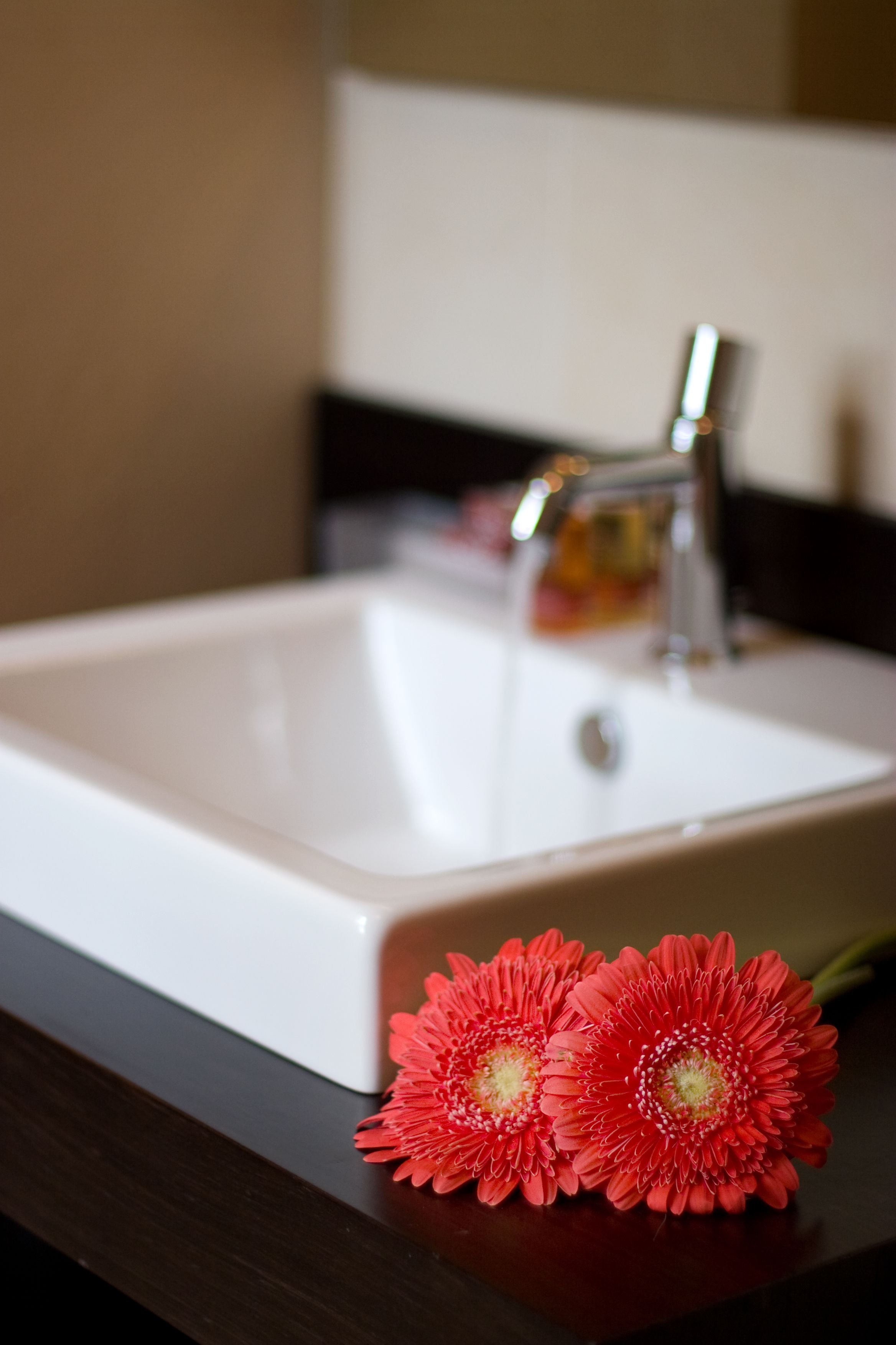 Un lavabo bianco con uno specchio sopra e due fiori rossi sul ripiano.