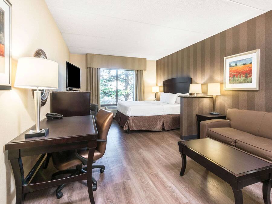 Studio-suite - 1 kingsize-seng med sovesofa - ikke-ryger | Gratis Wi-Fi, sengetøj