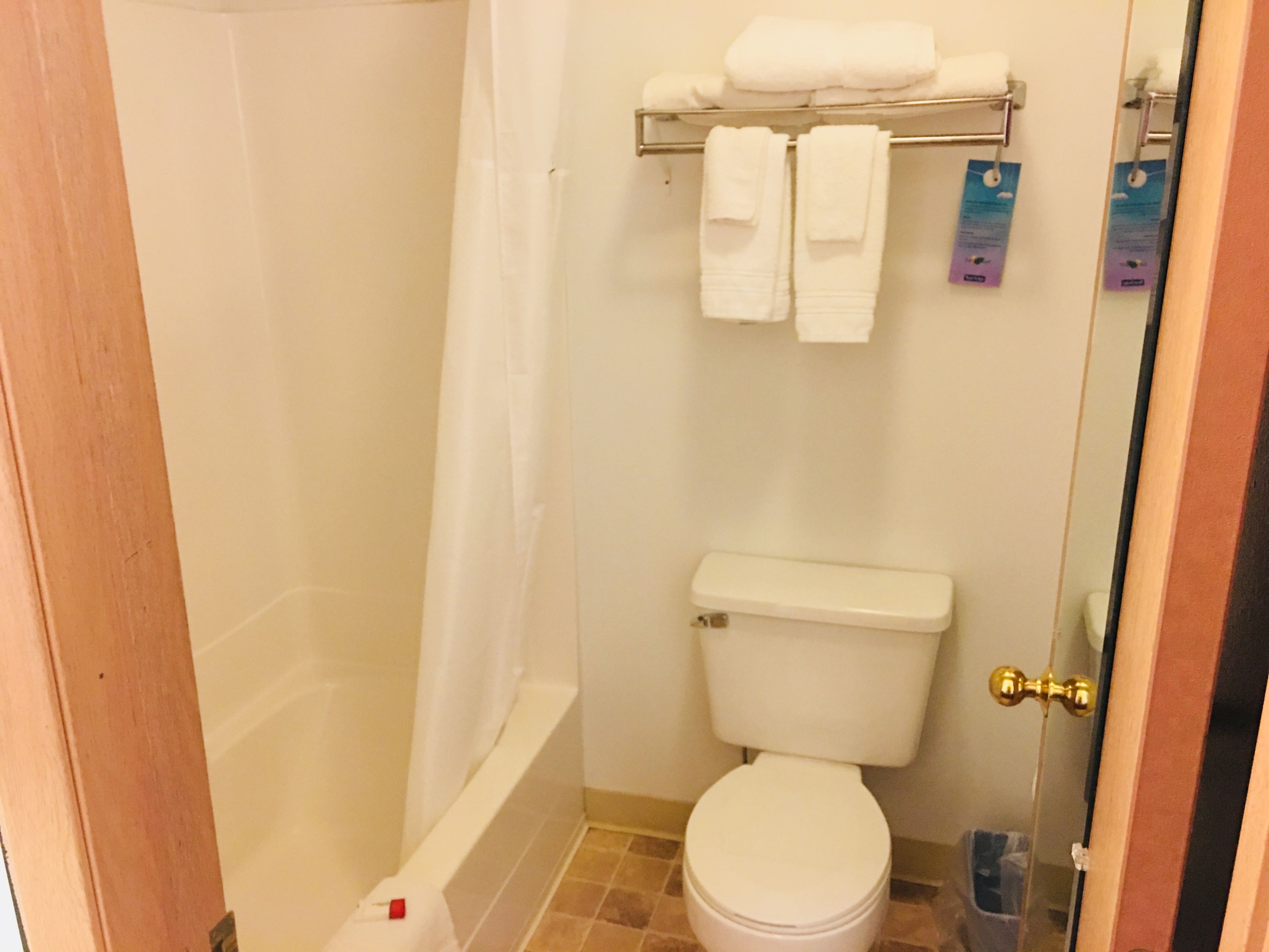 combined shower/bathtub, free toiletries, hair dryer, towels