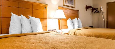 A hotel room with two beds, a wooden headboard, a nightstand with a lamp, and framed pictures on the wall.