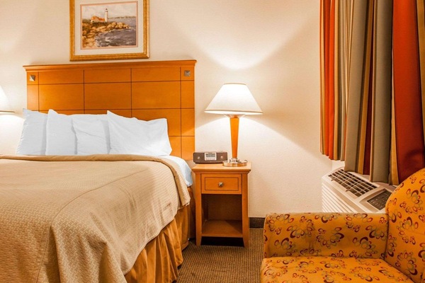 Standard Room, 1 Queen Bed, Non Smoking | Desk, iron/ironing board, WiFi (free), bed sheets