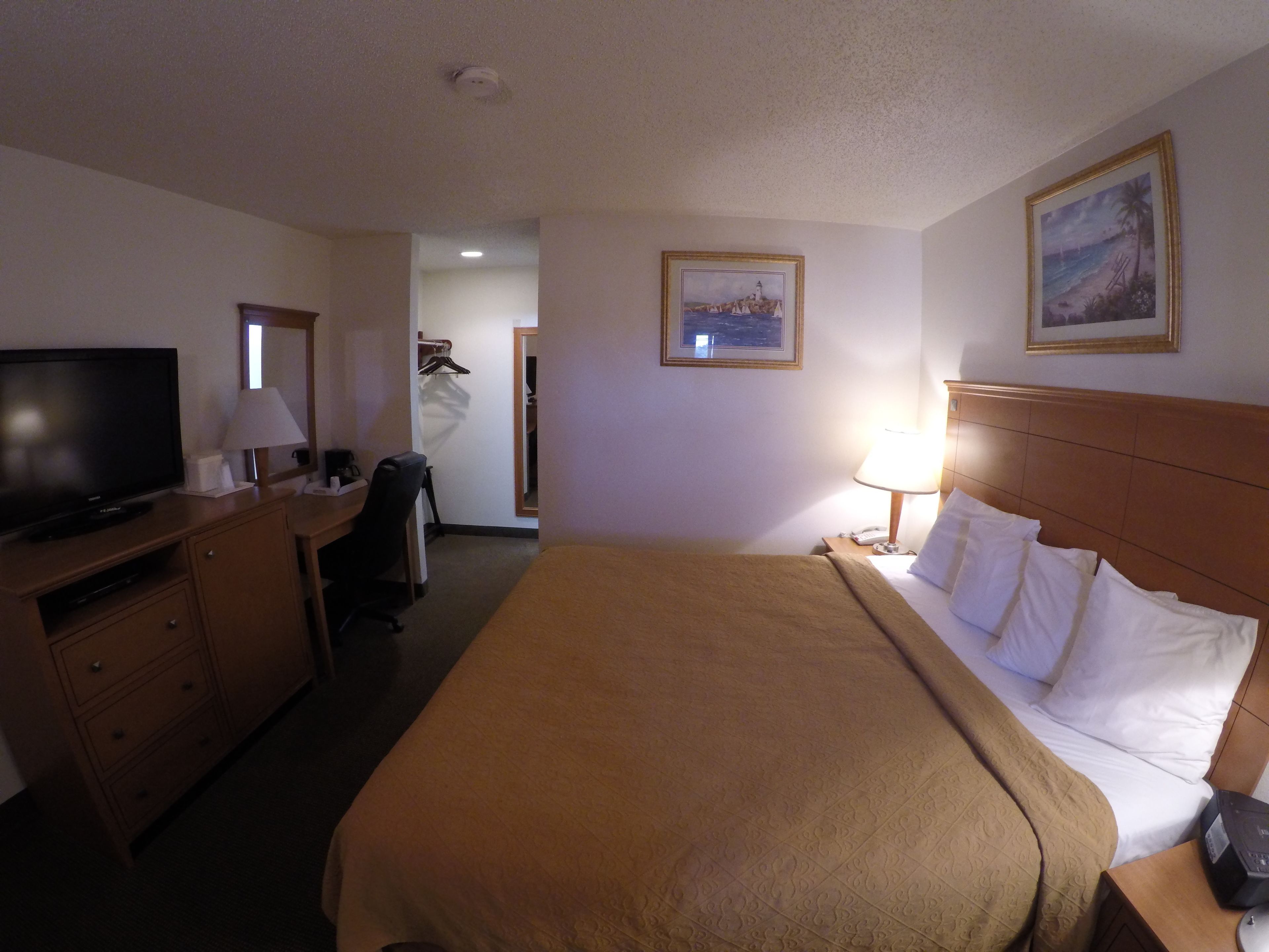 A hotel room with a bed, a television, a desk, and a chair. There are two paintings on the walls.