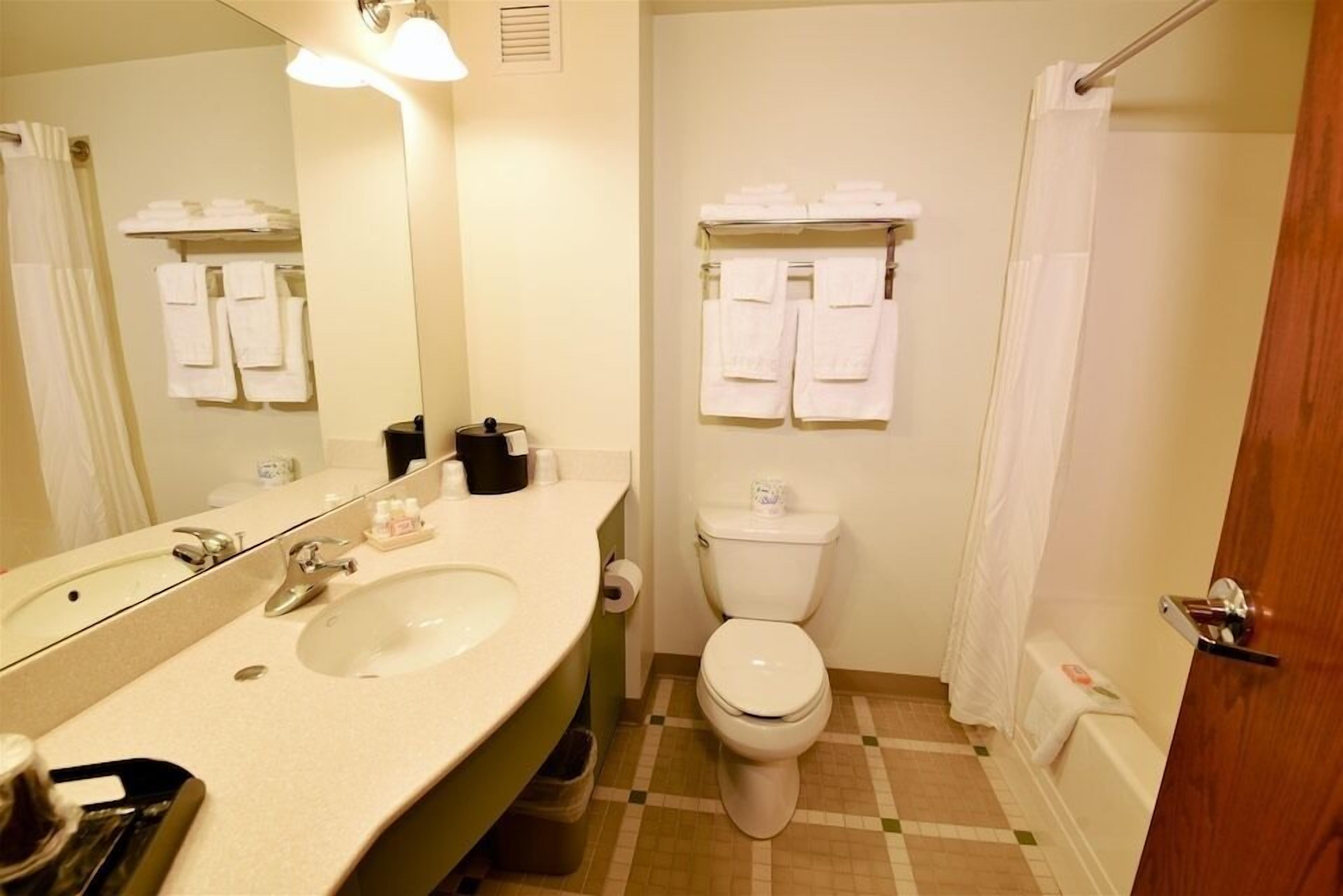 Une salle de bain équipée d’un lavabo, d’un miroir, de toilettes et d’un espace douche.
